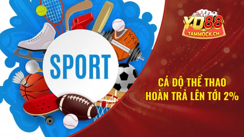 Top 3 chương trình khuyến mãi Yo88 hấp dẫn nhất